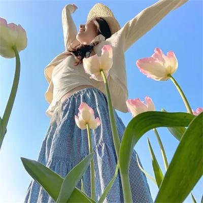 帅哥选举
